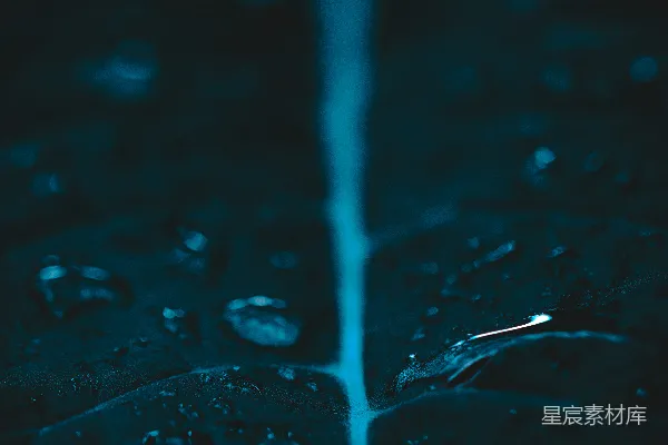 高清摄影 水滴的特写镜头