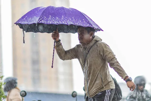 高清摄影 雨中撑着紫色伞的人。