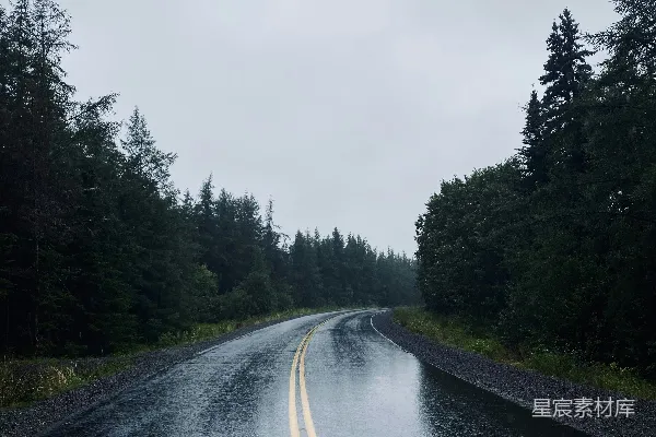 高清摄影 森林中一条湿漉漉的道路