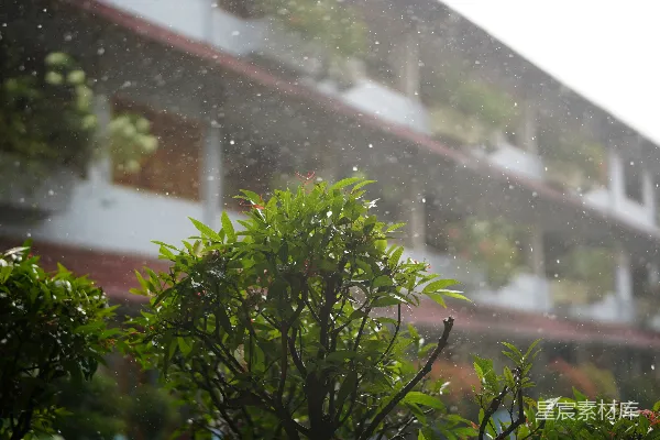 高清摄影 雨落在一座有绿色植物的建筑物前。
