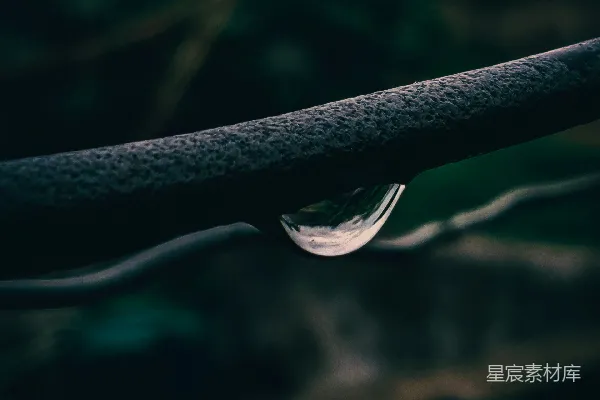 高清摄影 枝头一滴水