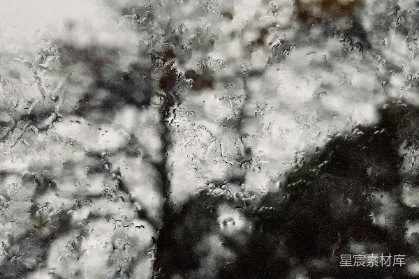 高清摄影 透过蒙上雨水的窗户看一棵树的景象