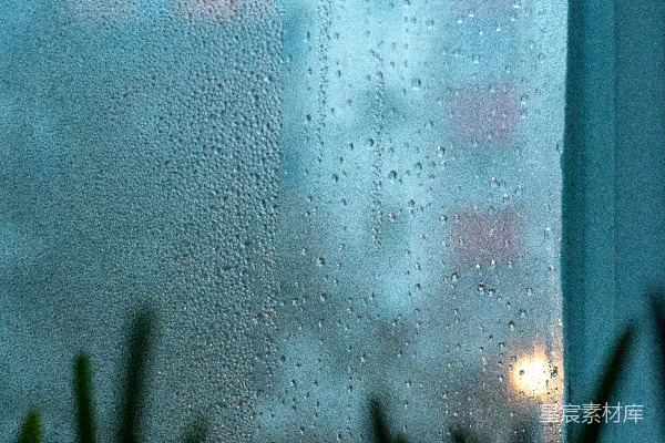 高清摄影 窗户上挂着雨水，旁边有一盆植物。