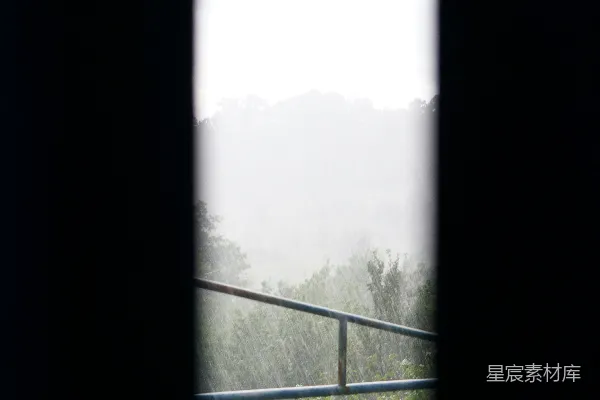 高清摄影 一扇窗户对着一片森林的景色