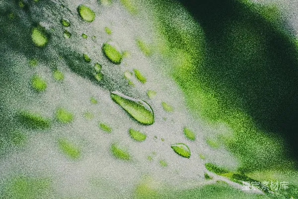 高清摄影 绿叶上的水珠