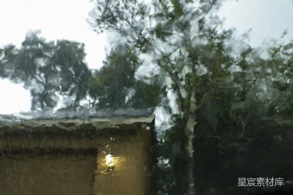 高清摄影 白天绿树环绕着棕色的房子。