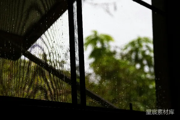 高清摄影 窗外绿树下，雨滴顺着窗户流下。