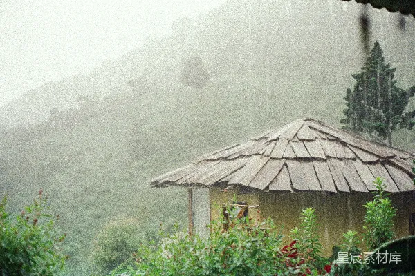 高清摄影 森林中一座小屋