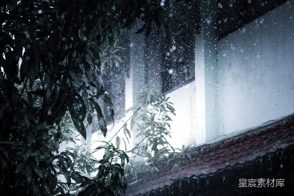 高清摄影 近树处，屋檐上滴下的雨珠。
