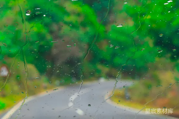 高清摄影 绿色和白色的串灯