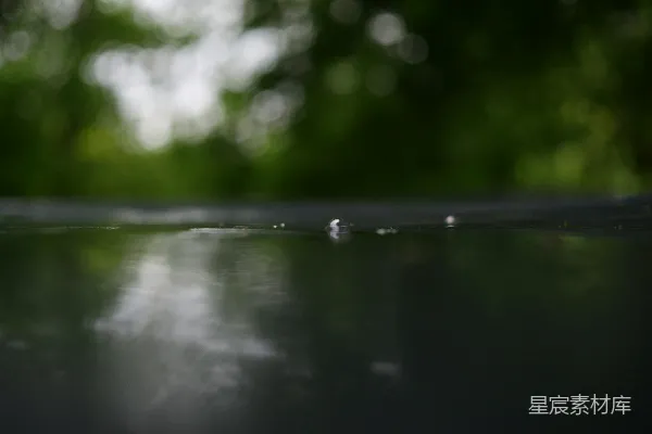 高清摄影 黑暗表面反射模糊绿树的雨滴。