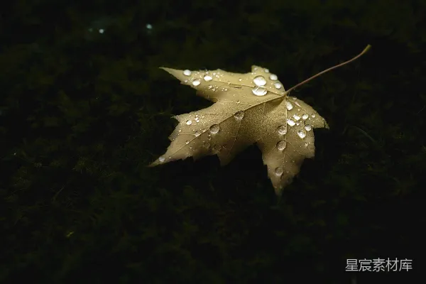 高清摄影 白色黄色星星装饰物