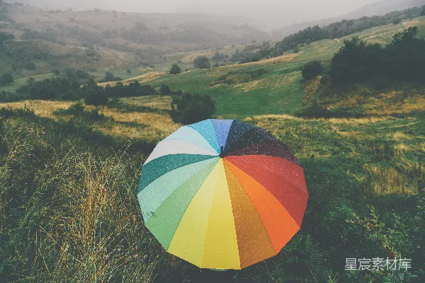 高清摄影 树下的伞