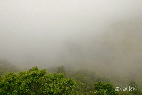 高清摄影 白昼绿树下的白云