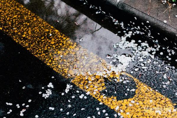 高清摄影 湿漉漉的道路两旁是黄白相间的落叶