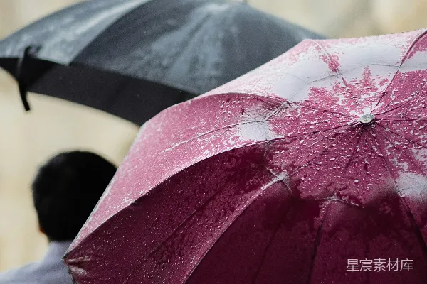 高清摄影 两只粉色和黑色伞的选择性聚焦照片