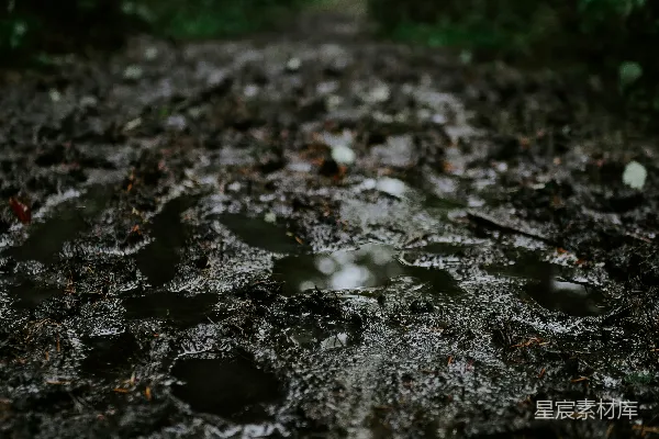 高清摄影 黑土上的水滴