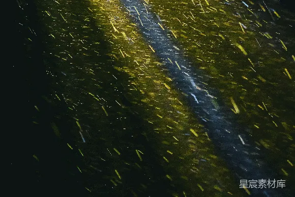 高清摄影 金色的光穿过一片暗淡而斑点状的背景