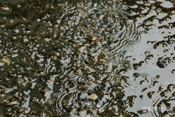 高清摄影 雨水落在湿滑有纹理的表面上形成涟漪。