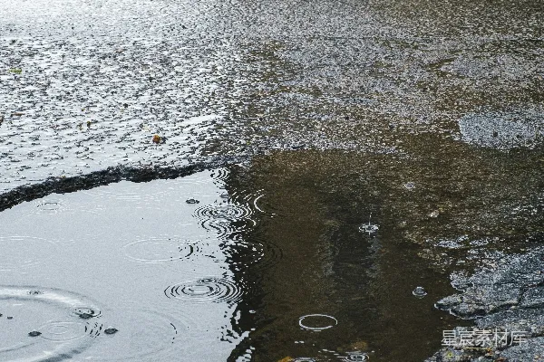 高清摄影 路旁的水域