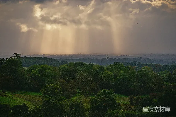 高清摄影 绿叶树木