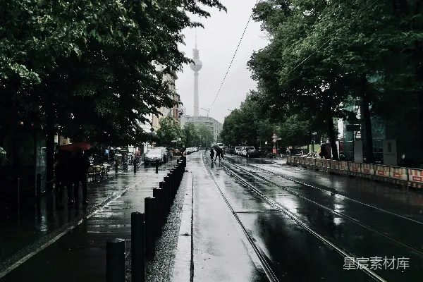 高清摄影 绿树之间的湿路