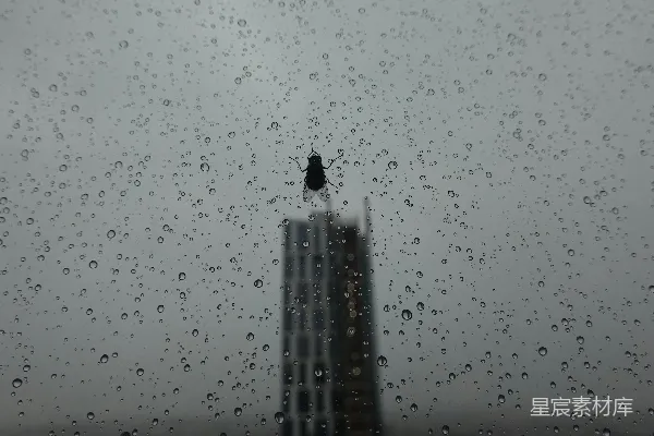高清摄影 透过蒙上雨的窗户看的一栋建筑