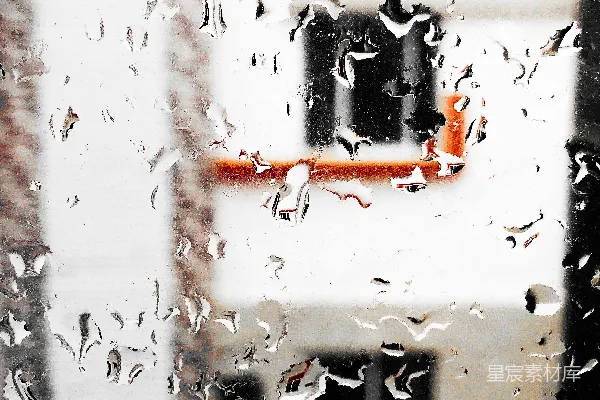 高清摄影 露水