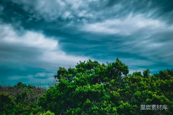 高清摄影 前景中有树木的云层天空的一瞥