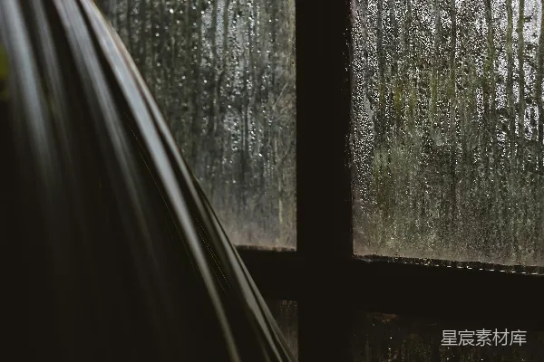 高清摄影 透过雨窗看去的一片森林