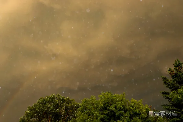 高清摄影 暴风雨中的彩虹与绿树