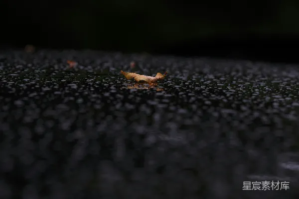 高清摄影 暗色表面叶上的雨滴。