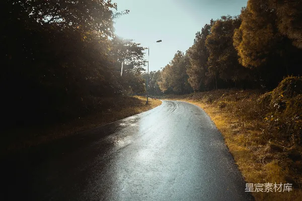 高清摄影 森林中的一条湿路