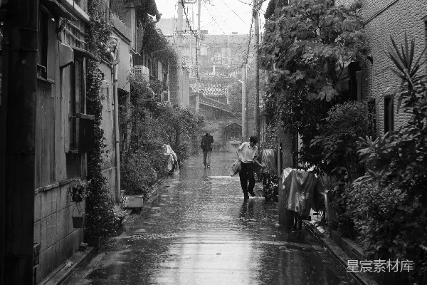 高清摄影 两个身影在一条被雨水浸湿的小巷中行走，小巷两旁种满了植物。