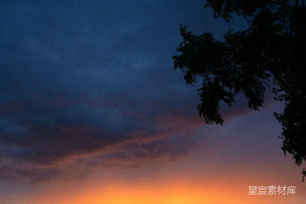高清摄影 夕阳西下，一片田地边有树木。