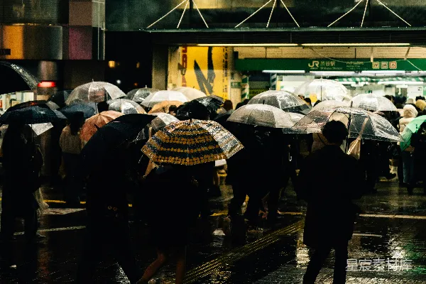 高清摄影 伞下行人走在雨中。