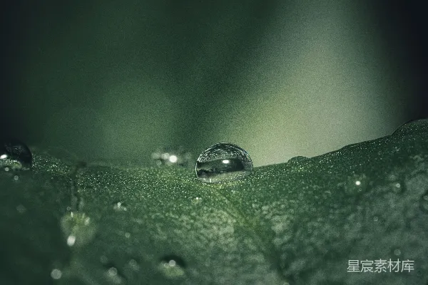 高清摄影 一滴水停驻在一片绿色叶子上