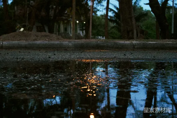 高清摄影 黄昏时街灯在水洼中的反射