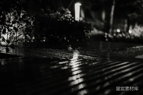 高清摄影 黑白夜景，有湿漉漉的倒影和浓重的树丛阴影。