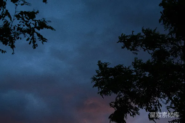 高清摄影 夕阳西下，一片田地旁有树木。