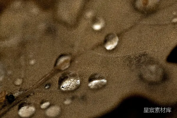 高清摄影 一片叶子的特写镜头，上面挂着几滴水珠。