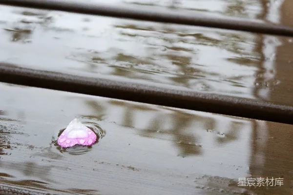 高清摄影 一朵粉色的花坐在木质长凳上方