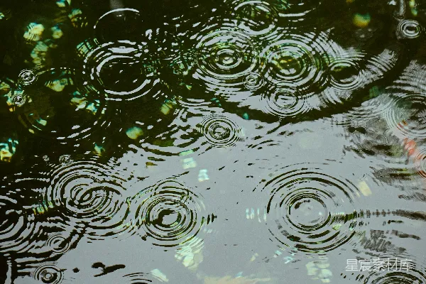 高清摄影 雨滴在暗处有反光表面激起涟漪。