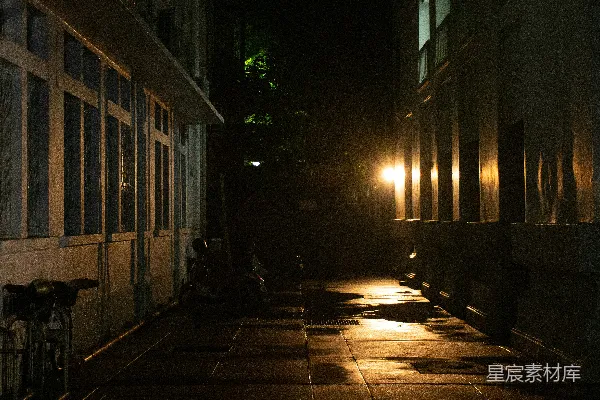 高清摄影 夜晚的街道