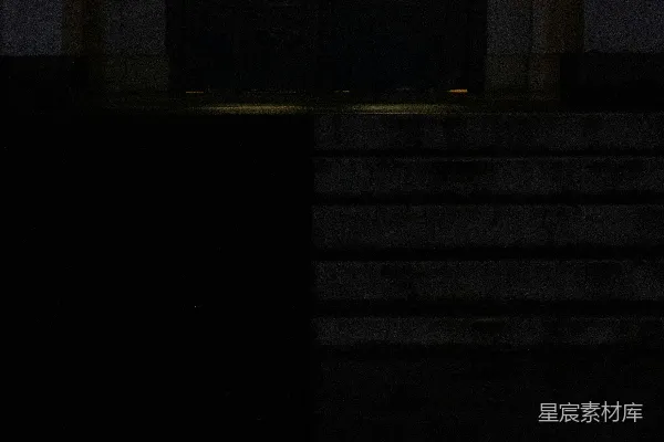 高清摄影 带有金色花纹的黑色门