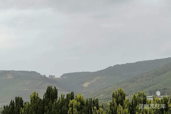 高清摄影 前景中有树木的山脉景色