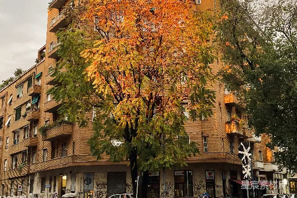 高清摄影 路上车辆附近有建筑物的白天场景