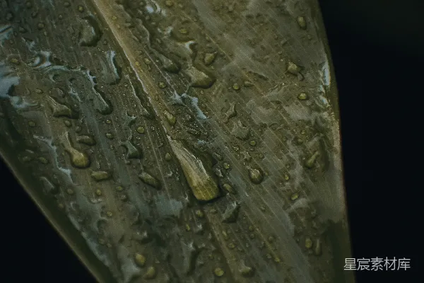 高清摄影 一张特写镜头下的岩石