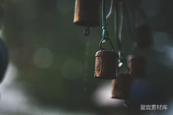 高清摄影 树上挂着一排铃铛