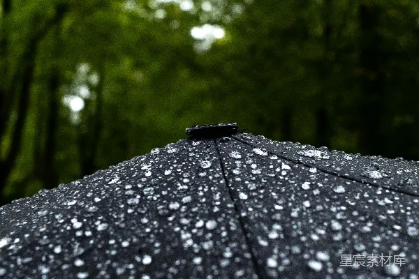 高清摄影 黑色雨伞覆盖着雨滴，森林背景。
